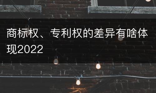 商标权、专利权的差异有啥体现2022