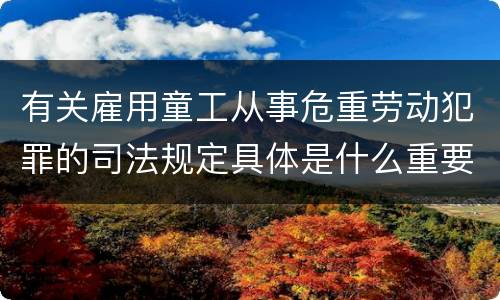 有关雇用童工从事危重劳动犯罪的司法规定具体是什么重要内容