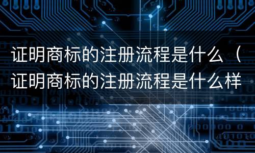 证明商标的注册流程是什么（证明商标的注册流程是什么样的）