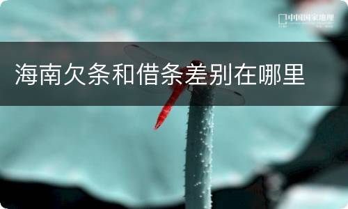海南欠条和借条差别在哪里