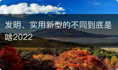 发明、实用新型的不同到底是啥2022