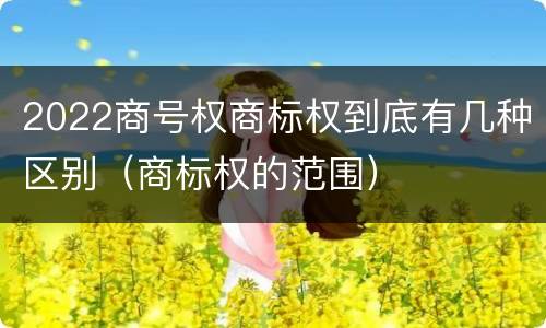 2022商号权商标权到底有几种区别（商标权的范围）