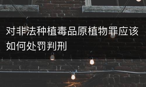对非法种植毒品原植物罪应该如何处罚判刑