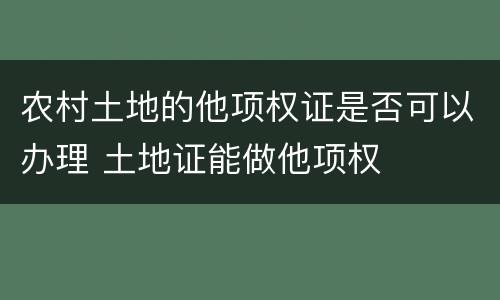 农村土地的他项权证是否可以办理 土地证能做他项权
