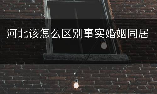 河北该怎么区别事实婚姻同居