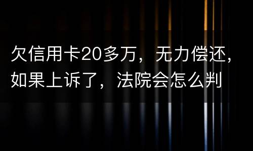 欠信用卡20多万，无力偿还，如果上诉了，法院会怎么判