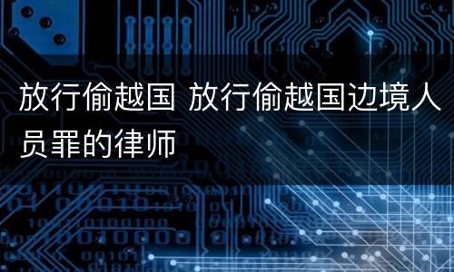 放行偷越国 放行偷越国边境人员罪的律师