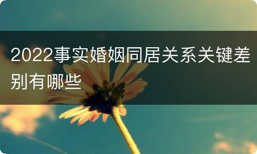 2022事实婚姻同居关系关键差别有哪些