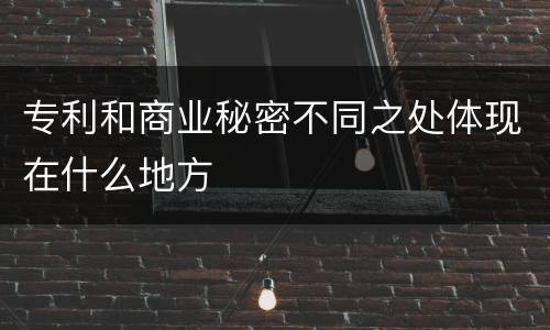 专利和商业秘密不同之处体现在什么地方