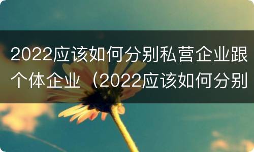 2022应该如何分别私营企业跟个体企业（2022应该如何分别私营企业跟个体企业呢）