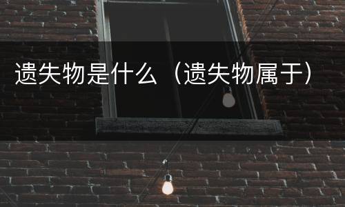 遗失物是什么（遗失物属于）