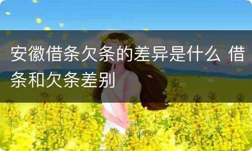 安徽借条欠条的差异是什么 借条和欠条差别