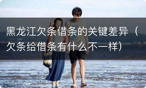 黑龙江欠条借条的关键差异（欠条给借条有什么不一样）