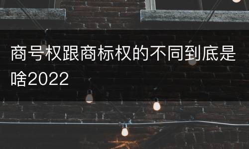 商号权跟商标权的不同到底是啥2022