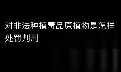 对非法种植毒品原植物是怎样处罚判刑
