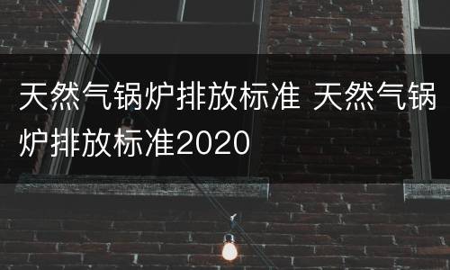 天然气锅炉排放标准 天然气锅炉排放标准2020