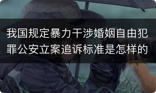 我国规定暴力干涉婚姻自由犯罪公安立案追诉标准是怎样的