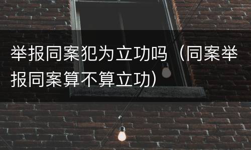 举报同案犯为立功吗（同案举报同案算不算立功）