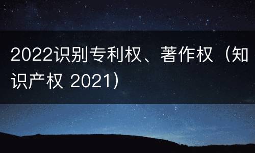 2022识别专利权、著作权（知识产权 2021）