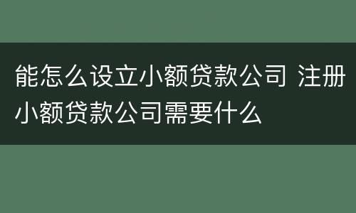 能怎么设立小额贷款公司 注册小额贷款公司需要什么