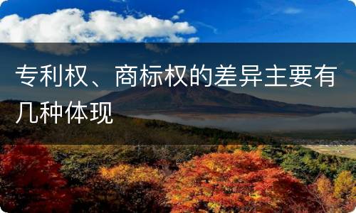专利权、商标权的差异主要有几种体现
