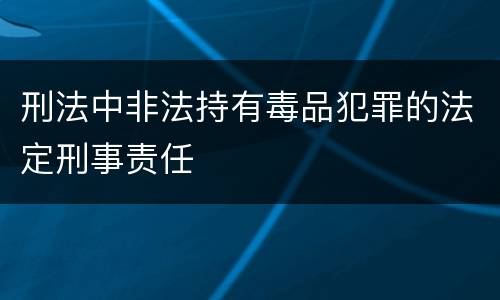 刑法中非法持有毒品犯罪的法定刑事责任