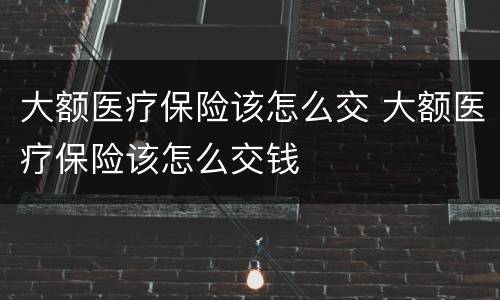 大额医疗保险该怎么交 大额医疗保险该怎么交钱