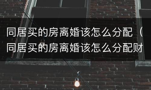 同居买的房离婚该怎么分配（同居买的房离婚该怎么分配财产）