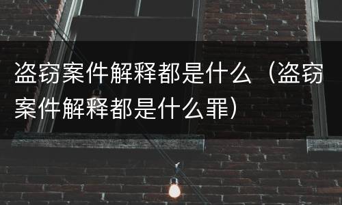 盗窃案件解释都是什么（盗窃案件解释都是什么罪）