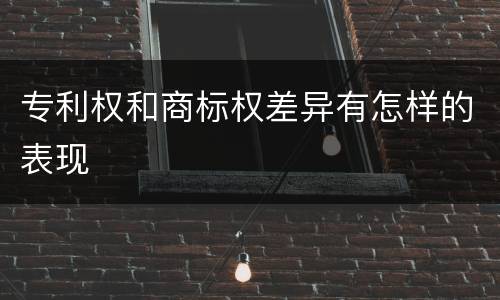 专利权和商标权差异有怎样的表现