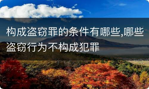 构成盗窃罪的条件有哪些,哪些盗窃行为不构成犯罪