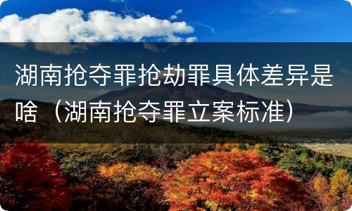 湖南抢夺罪抢劫罪具体差异是啥（湖南抢夺罪立案标准）