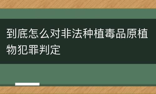 到底怎么对非法种植毒品原植物犯罪判定