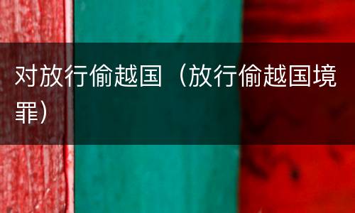 对放行偷越国（放行偷越国境罪）