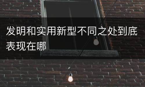 发明和实用新型不同之处到底表现在哪