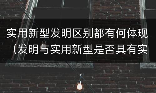 实用新型发明区别都有何体现（发明与实用新型是否具有实用性）