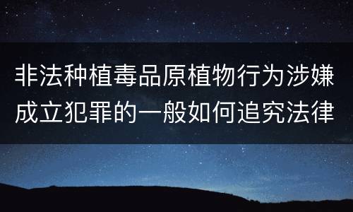 非法种植毒品原植物行为涉嫌成立犯罪的一般如何追究法律责任