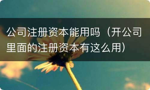 公司注册资本能用吗（开公司里面的注册资本有这么用）