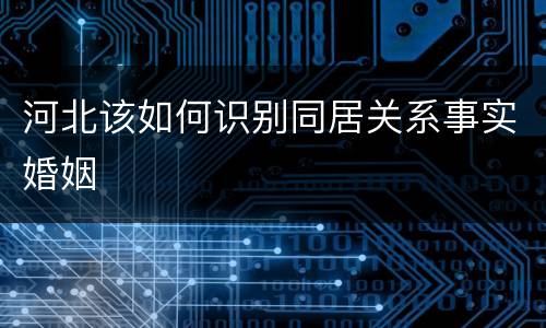河北该如何识别同居关系事实婚姻