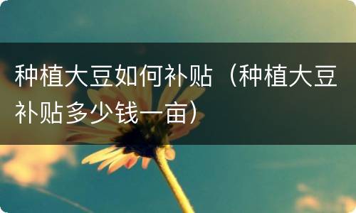 种植大豆如何补贴（种植大豆补贴多少钱一亩）