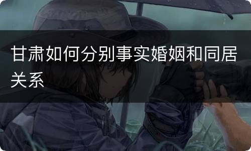 甘肃如何分别事实婚姻和同居关系