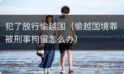 犯了放行偷越国（偷越国境罪被刑事拘留怎么办）