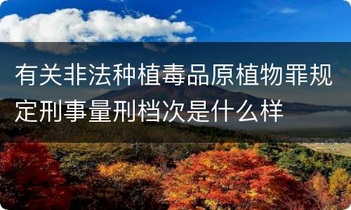 有关非法种植毒品原植物罪规定刑事量刑档次是什么样