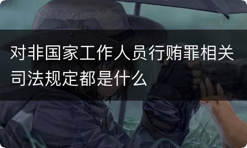 对非国家工作人员行贿罪相关司法规定都是什么