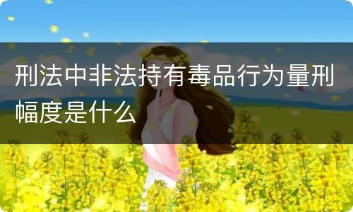 刑法中非法持有毒品行为量刑幅度是什么