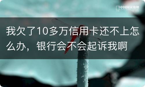 我欠了10多万信用卡还不上怎么办，银行会不会起诉我啊