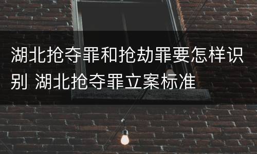 湖北抢夺罪和抢劫罪要怎样识别 湖北抢夺罪立案标准