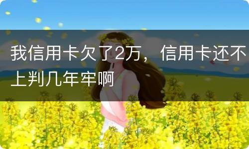 我信用卡欠了2万，信用卡还不上判几年牢啊