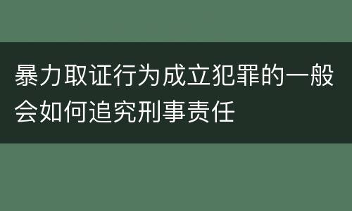 暴力取证行为成立犯罪的一般会如何追究刑事责任