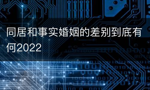 同居和事实婚姻的差别到底有何2022